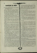 giornale/IEI0138969/1917/n. 001/36